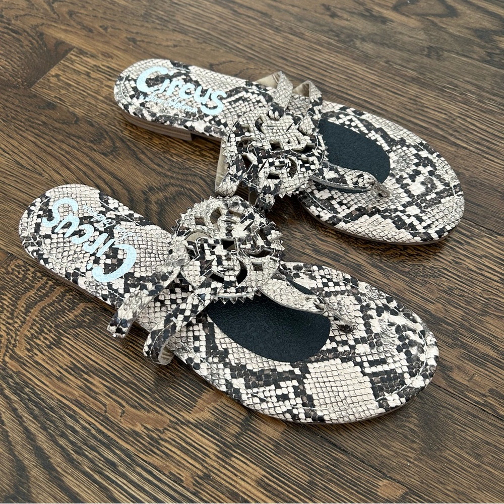 Circus by Sam Edelman Canyon Sandals